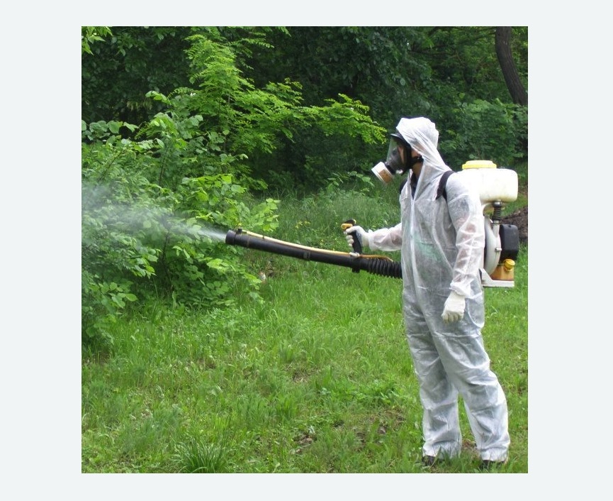 обработка дачи от клещей обработка территории от клещей в поселке Ильичёво