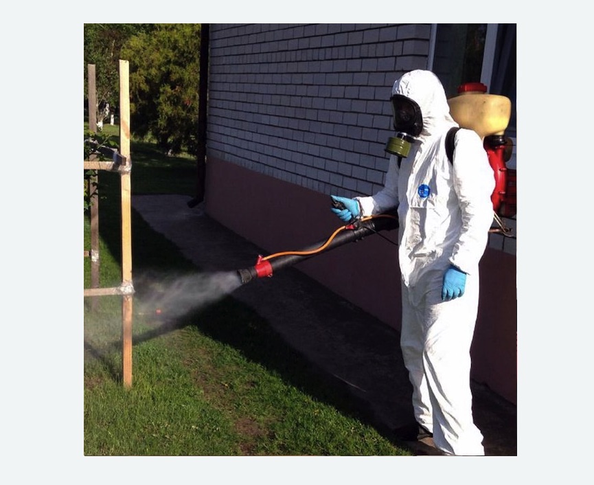 уничтожение клещей на участке травля клещей на участке в поселке Ильичёво