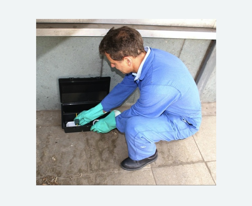 Уничтожение мышей в поселке Ильичёво Уничтожение мышей