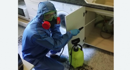 Уничтожение муравьев в квартире. поселок Ильичёво