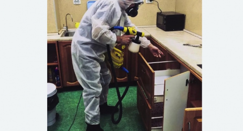 Дезинсекция квартиры. поселок Ильичёво