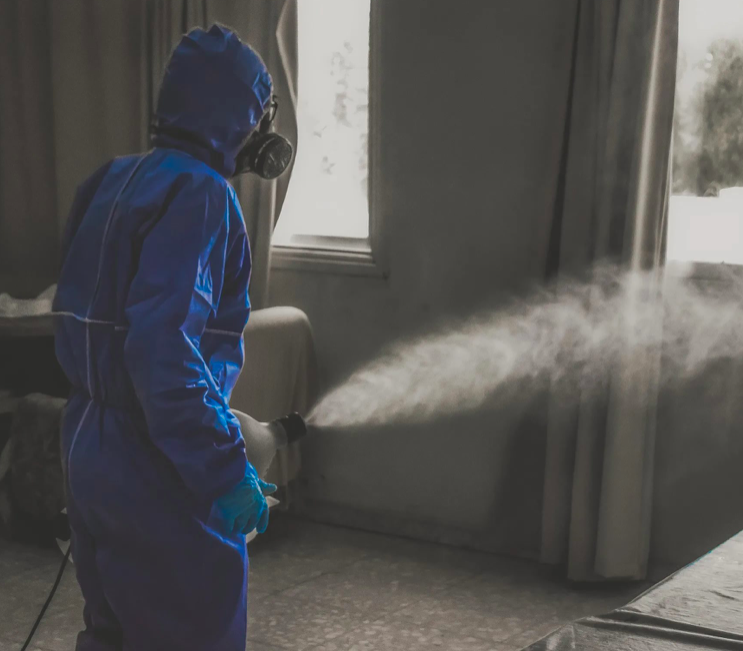 дезинфекция помещения после покойника поселок Ильичёво дезинфекция помещения после покойника