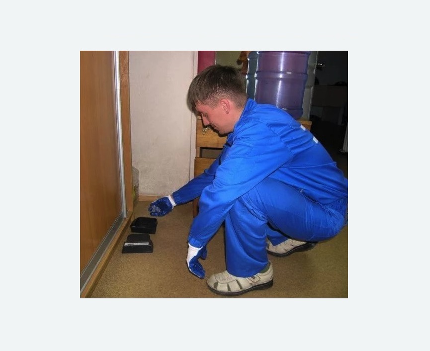 Дератизация крыс Дератизация крыс в поселке Ильичёво