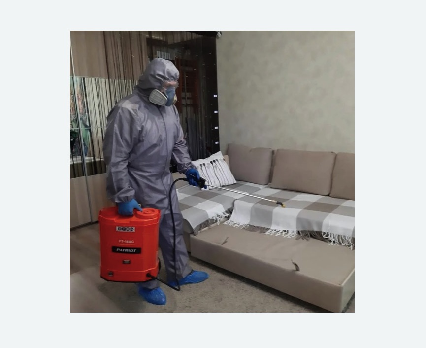 Обработка квартиры от блох в поселке Ильичёво Обработка квартиры от блох