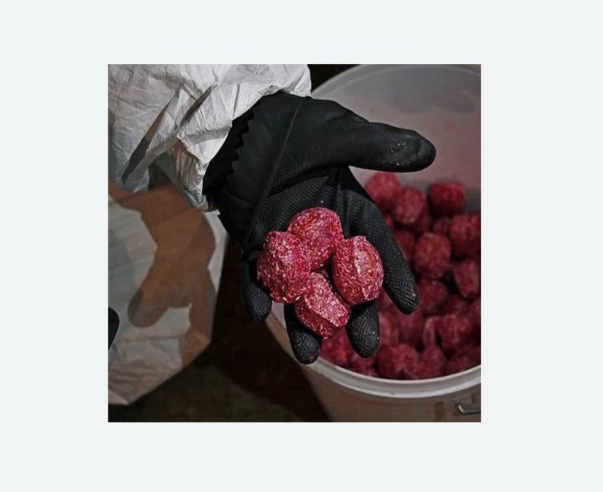 Обработка от крыс Обработка от крыс в поселке Ильичёво