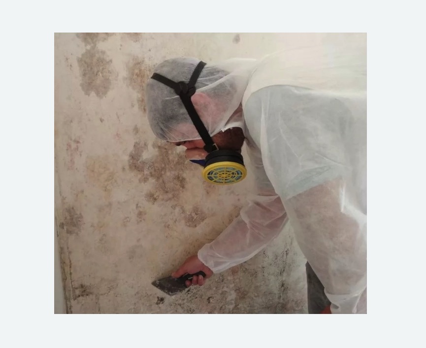 Обработка стен от плесени Обработка стен от плесени в поселке Ильичёво