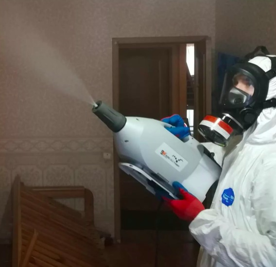 дезинсекция помещения в поселке Ильичёво
