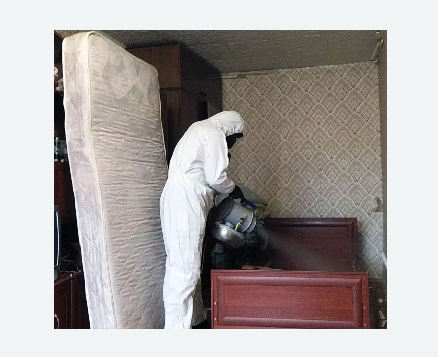 дезинфекция от клопов дезинфекция от клопов в поселке Ильичёво