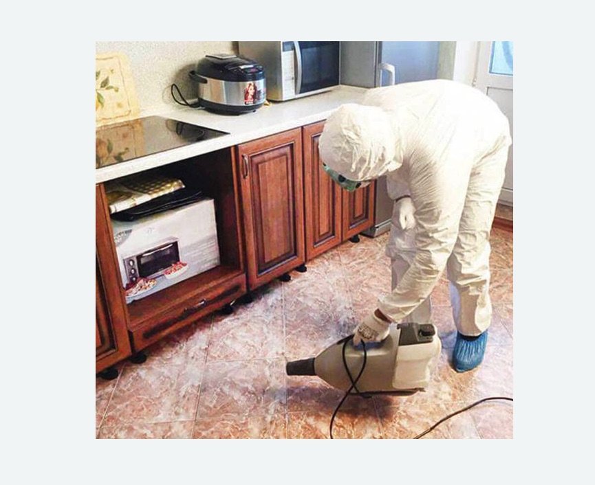 обработка квартиры от клопов в поселке Ильичёво обработка квартиры от клопов