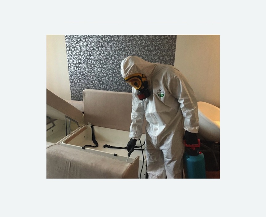 уничтожение клопов в квартире уничтожение клопов в квартире в поселке Ильичёво