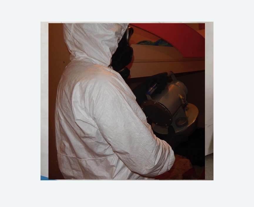 Дезинфекция от муравьев Дезинфекция от муравьев в поселке Ильичёво