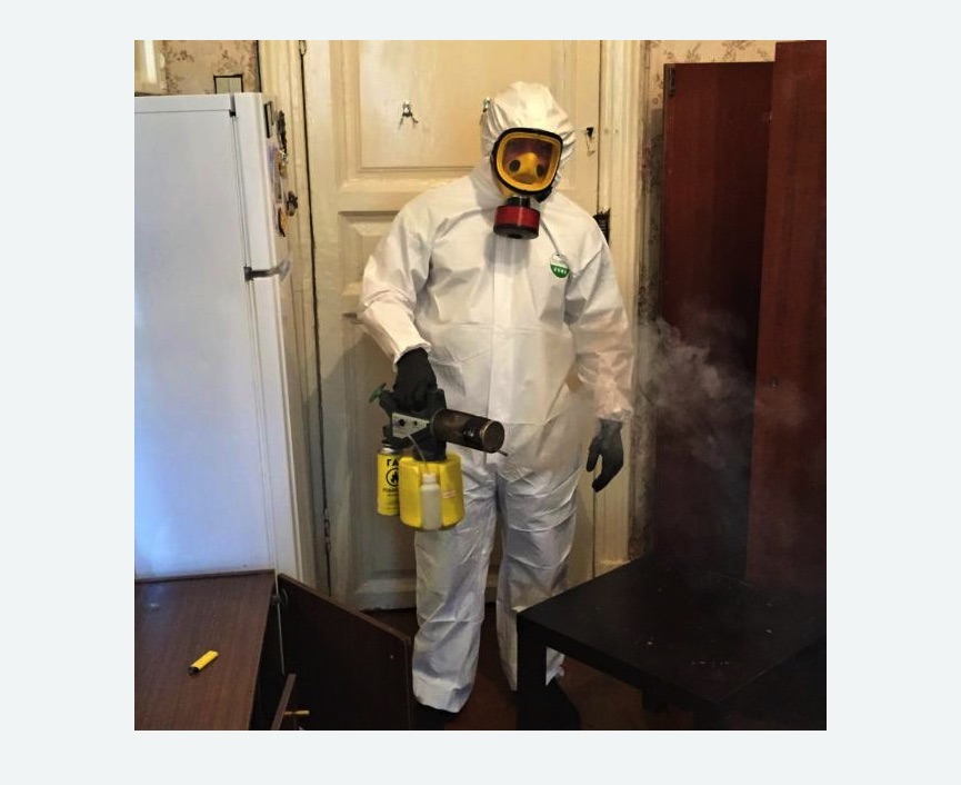 уничтожение муравьев в квартире уничтожение муравьев в квартире в поселке Ильичёво